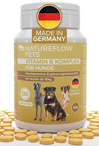 Complejo de Vitamina B Perros -Alta dosis de vitamina B para perros a partir de 15kg, 120 Comprimidos de vitaminas para perros, Suplemento perro con K3, ácido fólico, calcio y biotina, Made in Germany