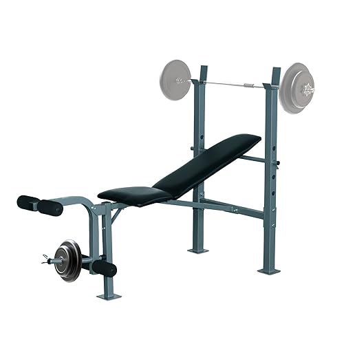 HOMCOM Banco de Musculación Banco de Pesas Maquina de Fitness Entrenar Musculos 165x68x114cm con Respaldo Regulable Espuma